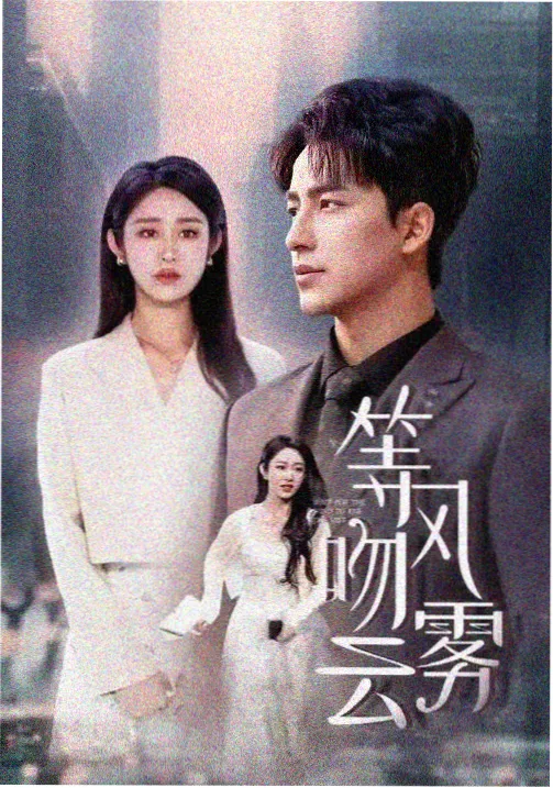 雾港迷案 在线观看